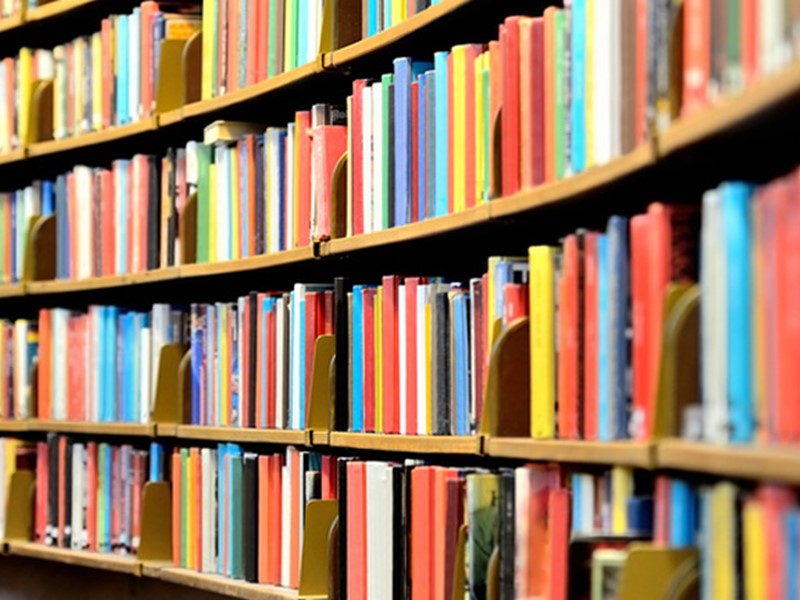 Photograph of shelves showing many books